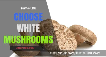 Easy Steps to Clean and Prepare Fresh White Mushrooms Perfectly