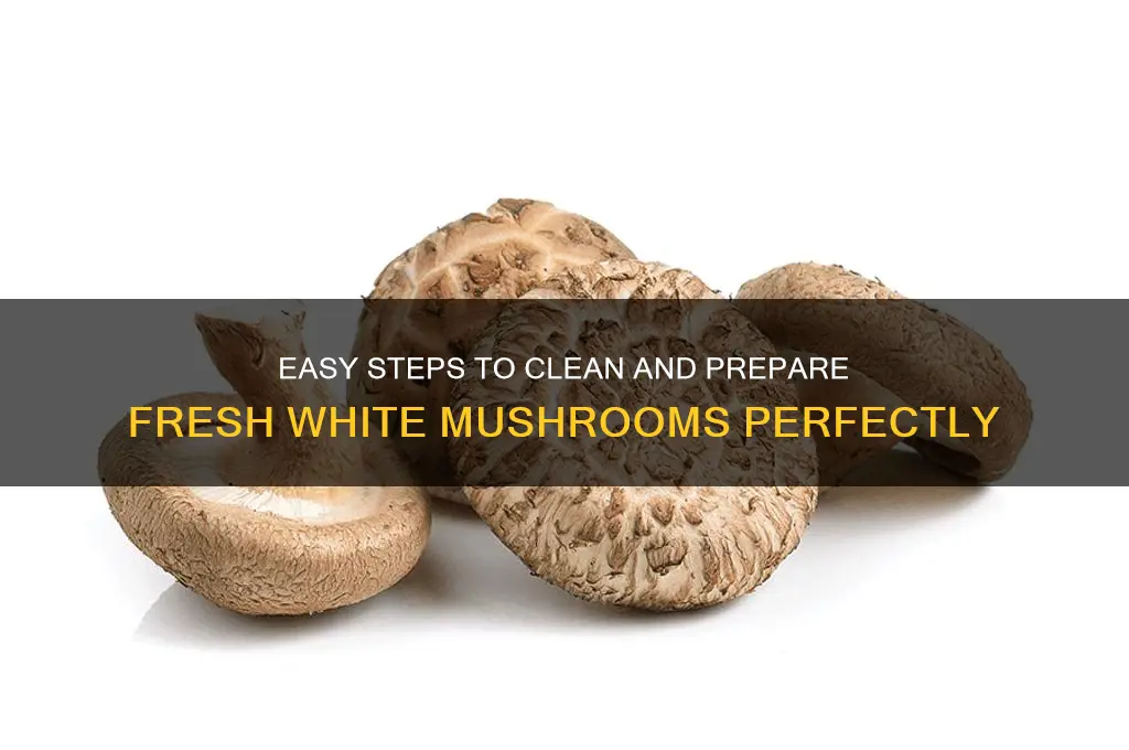 how to clean choose white mushrooms
