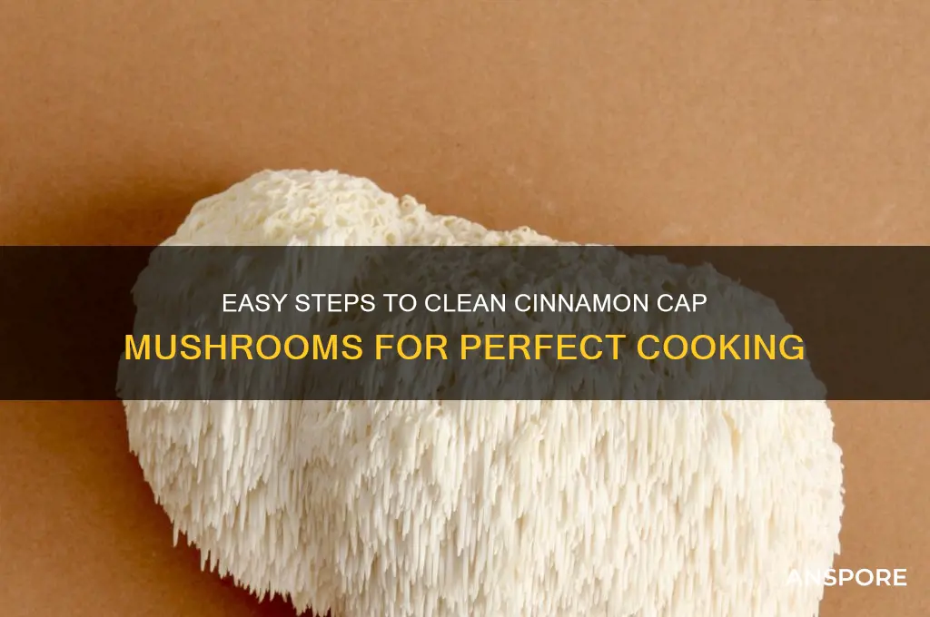 how to clean cinnamon cap mushrooms