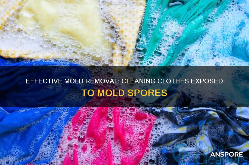 how to clean clothes exposed to mold spores