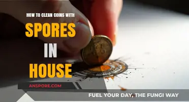 Effective Home Methods to Clean Spores from Coins Safely