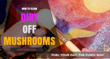 Effective Mushroom Cleaning: Removing Dirt Without Damaging Delicate Caps