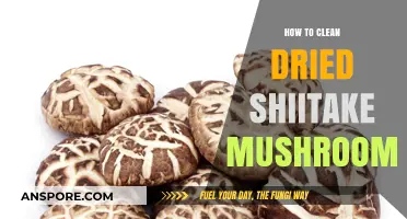 Revive Your Shiitake: Easy Steps to Clean Dried Mushrooms