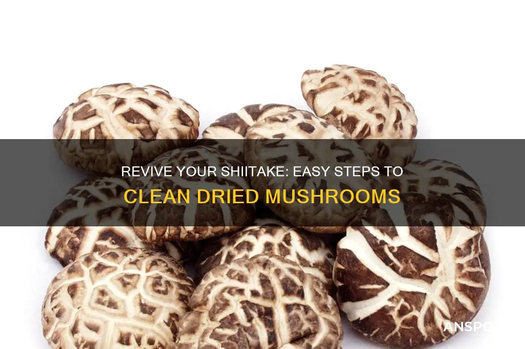 how to clean dried shiitake mushrooms