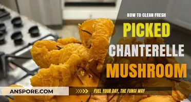 Cleaning Fresh Chanterelles: A Simple Guide to Perfectly Prepped Mushrooms