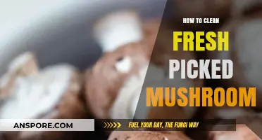 Freshly Picked Mushrooms: A Simple Guide to Cleaning and Prepping