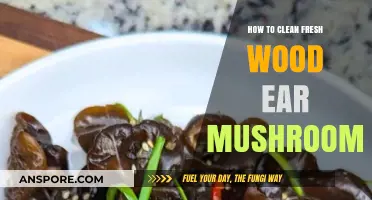 Fresh Wood Ear Mushrooms: Simple Cleaning Tips for Perfect Preparation