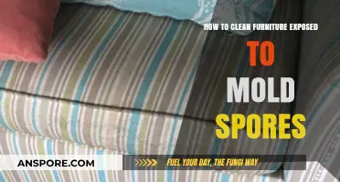Effective Furniture Cleaning Tips to Eliminate Mold Spores Safely