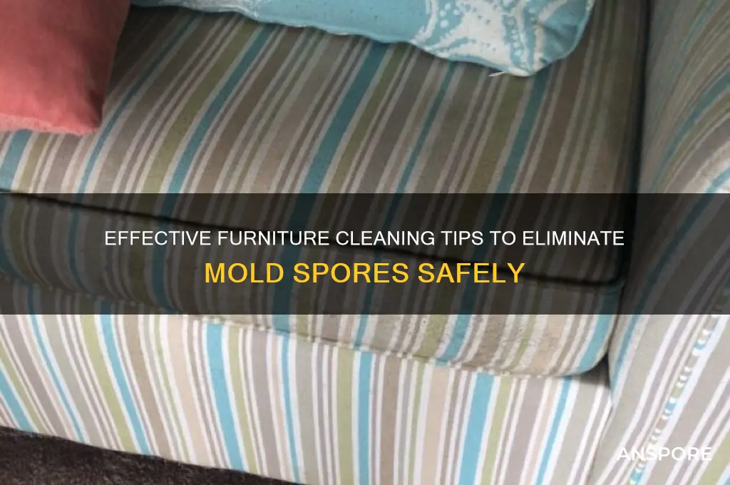 how to clean furniture exposed to mold spores