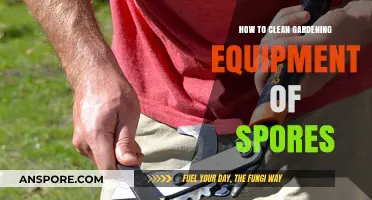 Effective Methods to Clean Gardening Tools and Remove Spores Safely