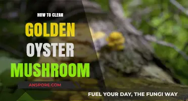 Easy Steps to Clean Golden Oyster Mushrooms for Perfect Cooking