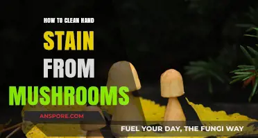 Effective Tips to Remove Mushroom Stains from Your Hands Easily