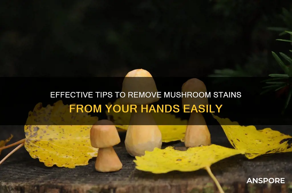 how to clean hand stain from mushrooms