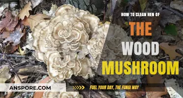 Cleaning Hen of the Woods: A Simple Guide to Perfectly Prepped Mushrooms