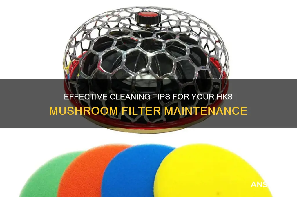 how to clean hks mushroom filter
