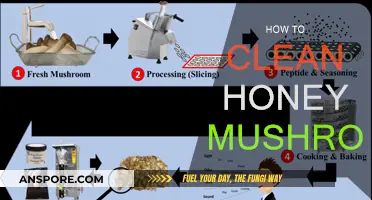 Cleaning Honey Mushrooms: A Simple Guide