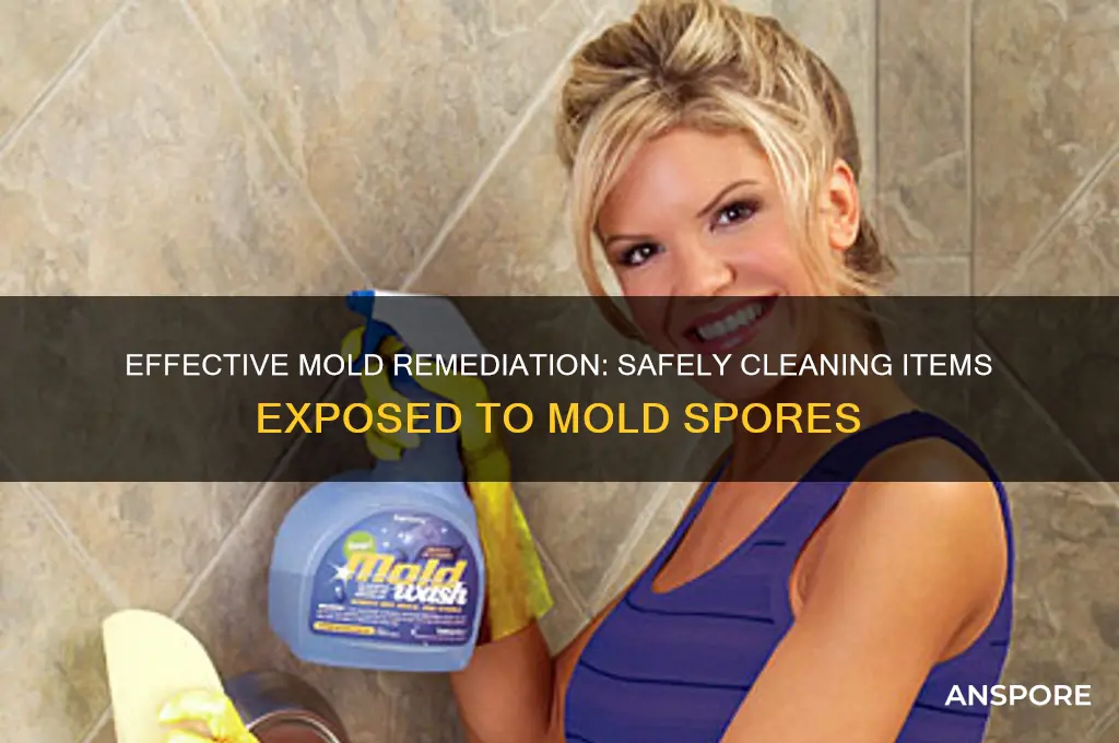 how to clean items exposed to mold spores