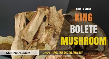 Mastering the Art of Cleaning King Bolete Mushrooms: A Step-by-Step Guide