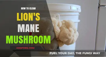 Mastering Lion's Mane Mushroom Cleaning: Simple Steps for Perfect Prep