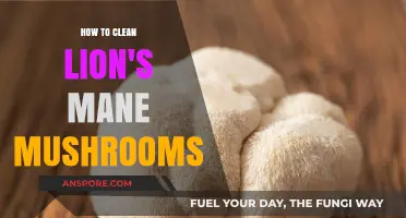 Mastering the Art of Cleaning Lion's Mane Mushrooms: A Step-by-Step Guide