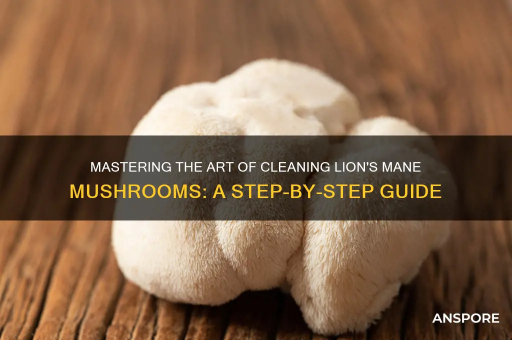 how to clean lion