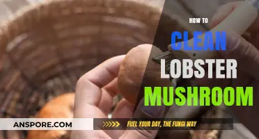 The Ultimate Guide to Cleaning Lobster Mushrooms