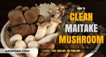 The Ultimate Guide to Cleaning Maitake Mushrooms