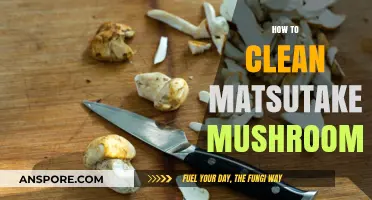 The Ultimate Guide to Cleaning Matsutake Mushrooms
