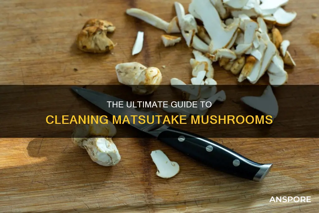 how to clean matsutake mushrooms