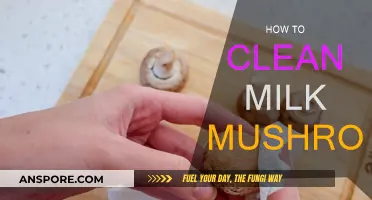 Effective Milk Mushroom Cleaning Techniques