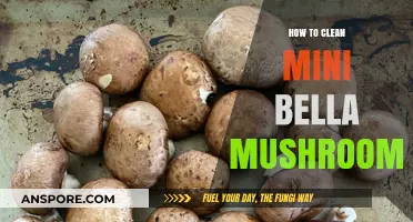 Easy Steps to Clean Mini Bella Mushrooms for Perfect Cooking
