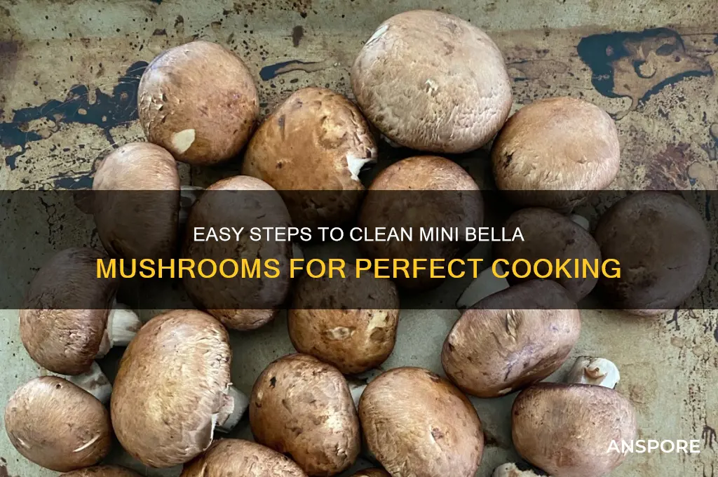 how to clean mini bella mushrooms