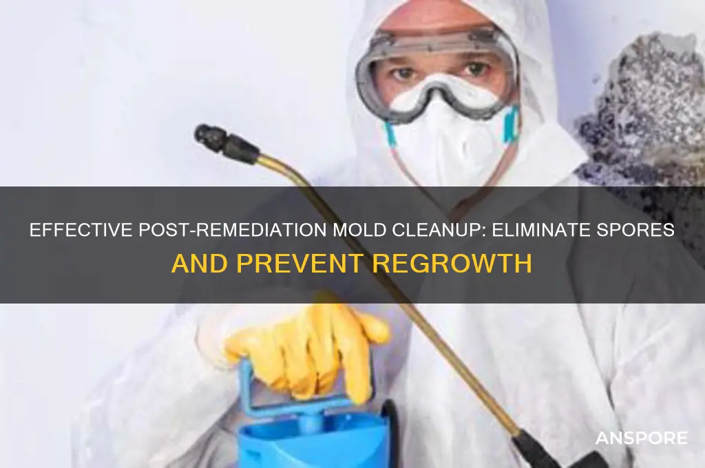 how to clean mold spores after remediation