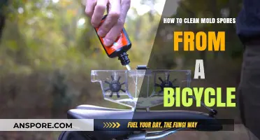 Effective Methods to Remove Mold Spores from Your Bicycle Safely