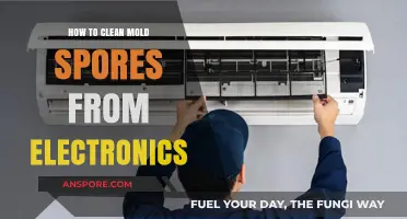 Effective Mold Removal: Safely Cleaning Electronics from Mold Spores