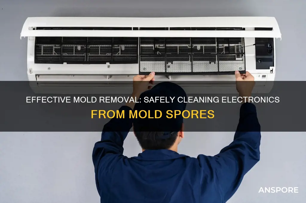 how to clean mold spores from electronics