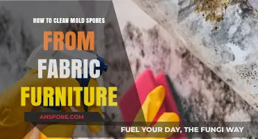 Effective Ways to Remove Mold Spores from Fabric Furniture