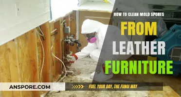 Effective Methods to Remove Mold Spores from Leather Furniture Safely