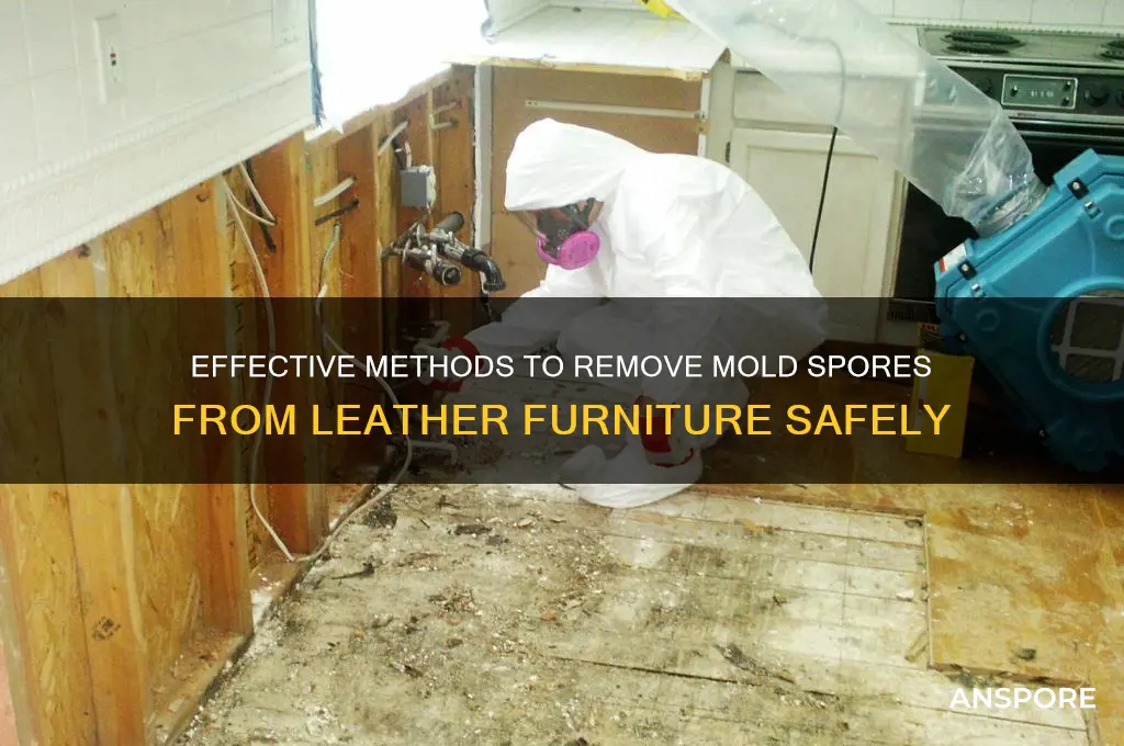 how to clean mold spores from leather furniture