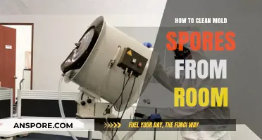 Effective Ways to Eliminate Mold Spores from Your Room Safely