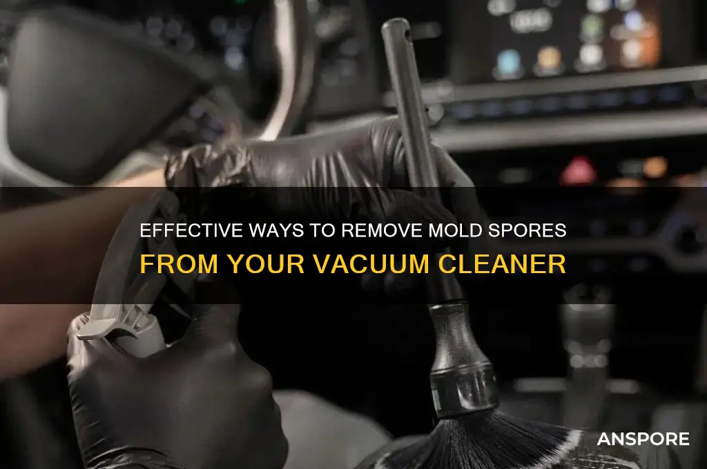 how to clean mold spores from vacuum