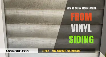 Effective Mold Removal: Cleaning Vinyl Siding Safely and Efficiently