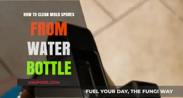 Effective Ways to Remove Mold Spores from Your Water Bottle