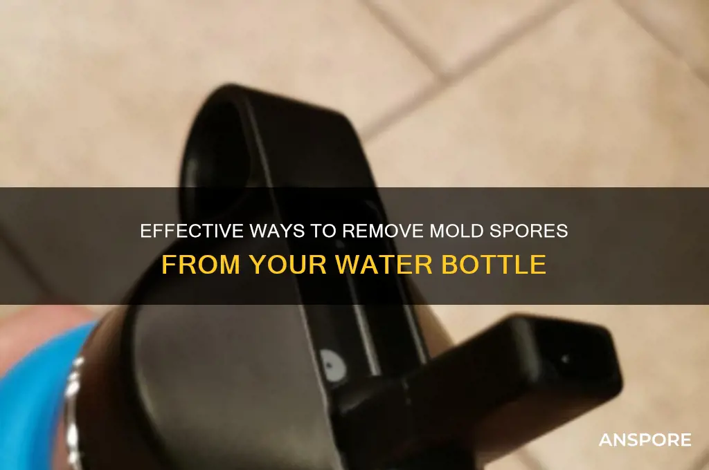 how to clean mold spores from water bottle