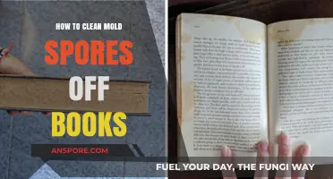 Effective Methods to Safely Remove Mold Spores from Books