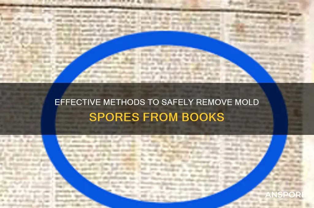 how to clean mold spores off books