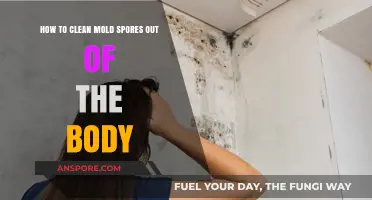 Effective Ways to Detoxify Your Body from Mold Spores Naturally