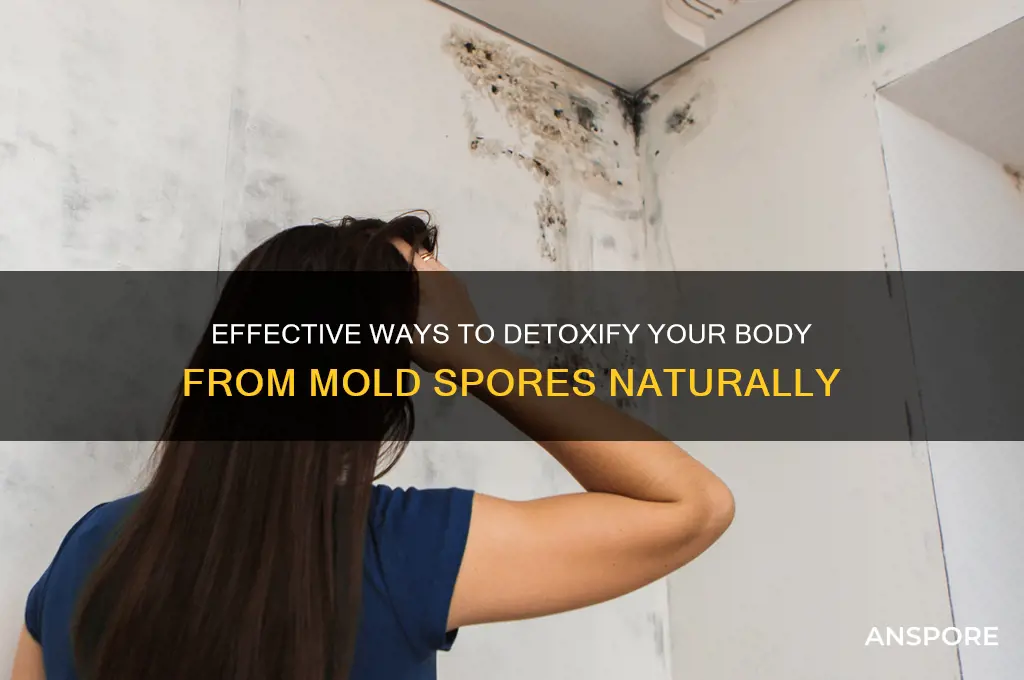 how to clean mold spores out of the body