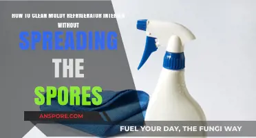 Effective Mold Removal: Safely Clean Your Refrigerator Without Spreading Spores