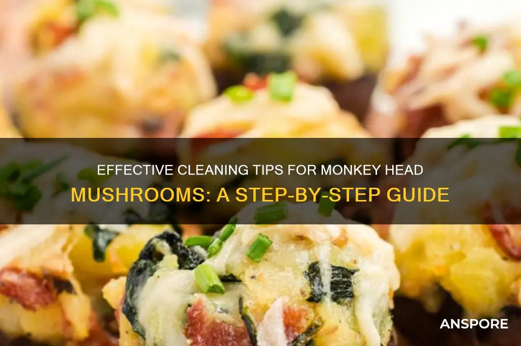 how to clean monkey head mushroom